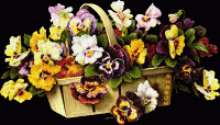 /album/kepgaleria-kezdolap/a654617-gif/