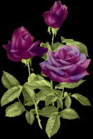 /album/kepgaleria-kezdolap/a7-png/