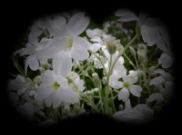 /album/kepgaleria-kezdolap/a713871-orig-png/