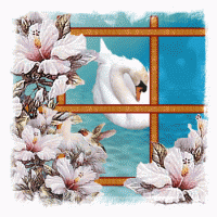 /album/kepgaleria-kezdolap/a94-gif/