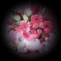 /album/kepgaleria-kezdolap/photo-11-png/