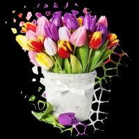 /album/kepgaleria-kezdolap/a00000164-png/