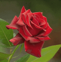 /album/kepgaleria-kezdolap/c71bb69valtozo-gif/