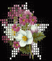 /album/kepgaleria-kezdolap/www-tvn-hu-f32b47edd17ec74fb9bafb9c2a29b18f-gif/