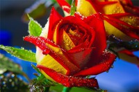 /album/kepgaleria-kezdolap/a8f8d8df78195-jpg/