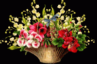 /album/kepgaleria-kezdolap/a1184186-gif/