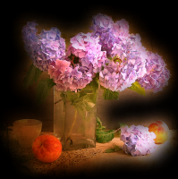 /album/kepgaleria-kezdolap/a1303848747-56-png/