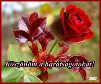 /album/kepgaleria-kezdolap/www-tvn-hu-e0f743342fa0031a3ca08636c65531fe-jpg/