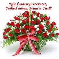 /album/kepgaleria-kezdolap/a1392886-1411946199034934-144120783-n-jpg/