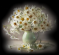 /album/fenykepgaleria/www-tvn-hu-d5b009dde15df351ce10f32bc13924eb-png/
