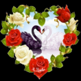 /album/fenykepgaleria/www-tvn-hu-925bb22fb4a2a837bfb7ca7f845da91c-png/