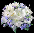 /album/fenykepgaleria/www-tvn-hu-fad615436113008ebbc8c19b2ce2983b-png/