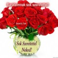 /album/fenykepgaleria/a56da76761f94400-jpg/