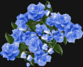 /album/fenykepgaleria/www-tvn-hu-ff36aed8b54d2e335c722f4d38e98661-gif/