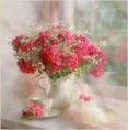 /album/fenykepgaleria/www-tvn-hu-d269bc6b52c9960ec96fe9a4b7009a6a-jpg/