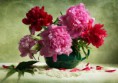 /album/fenykepgaleria/www-tvn-hu-b88b6a7193b1db8e2bb02b770ecf3c8a-jpg/